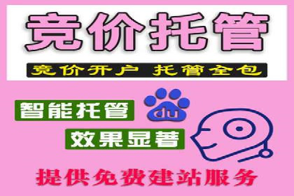搜索引擎营销（SEM）成功案例详解